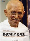 非暴力抵抗的诞生：南非非暴力抵抗运动史
